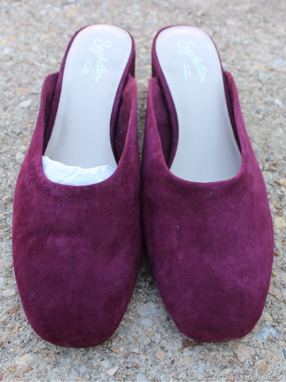 Seychelles Migrate Burgundy Suede Mules Sz 8